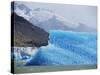 Glacial Icebergs on Lago Argentina, Patagonia, Argentina, South America-Lousie Murray-Stretched Canvas