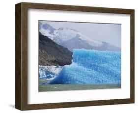 Glacial Icebergs on Lago Argentina, Patagonia, Argentina, South America-Lousie Murray-Framed Photographic Print