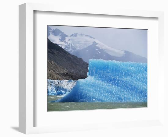 Glacial Icebergs on Lago Argentina, Patagonia, Argentina, South America-Lousie Murray-Framed Photographic Print