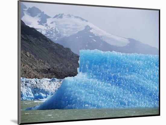 Glacial Icebergs on Lago Argentina, Patagonia, Argentina, South America-Lousie Murray-Mounted Photographic Print