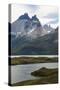Glacial Lakes in Front of the Torres Del Paine National Park, Patagonia, Chile, South America-Michael Runkel-Stretched Canvas