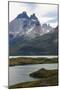 Glacial Lakes in Front of the Torres Del Paine National Park, Patagonia, Chile, South America-Michael Runkel-Mounted Photographic Print