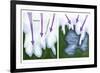 Glacial Melt-Gwen Shockey-Framed Giclee Print