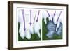 Glacial Melt-Gwen Shockey-Framed Giclee Print