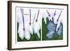 Glacial Melt-Gwen Shockey-Framed Giclee Print