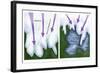 Glacial Melt-Gwen Shockey-Framed Giclee Print