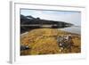 Glacial Scree, Foreshore, Trinity Hamn, Magdalenefjord, Svalbard-David Lomax-Framed Photographic Print