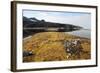 Glacial Scree, Foreshore, Trinity Hamn, Magdalenefjord, Svalbard-David Lomax-Framed Photographic Print