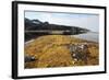 Glacial Scree, Foreshore, Trinity Hamn, Magdalenefjord, Svalbard-David Lomax-Framed Photographic Print