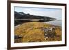 Glacial Scree, Foreshore, Trinity Hamn, Magdalenefjord, Svalbard-David Lomax-Framed Photographic Print