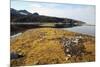 Glacial Scree, Foreshore, Trinity Hamn, Magdalenefjord, Svalbard-David Lomax-Mounted Photographic Print