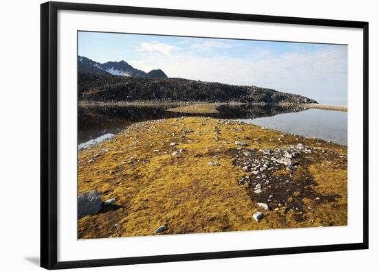 Glacial Scree, Foreshore, Trinity Hamn, Magdalenefjord, Svalbard-David Lomax-Framed Photographic Print