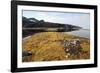 Glacial Scree, Foreshore, Trinity Hamn, Magdalenefjord, Svalbard-David Lomax-Framed Photographic Print