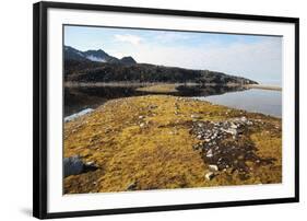 Glacial Scree, Foreshore, Trinity Hamn, Magdalenefjord, Svalbard-David Lomax-Framed Premium Photographic Print