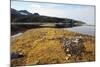 Glacial Scree, Foreshore, Trinity Hamn, Magdalenefjord, Svalbard-David Lomax-Mounted Premium Photographic Print