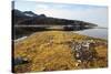 Glacial Scree, Foreshore, Trinity Hamn, Magdalenefjord, Svalbard-David Lomax-Stretched Canvas