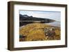 Glacial Scree, Foreshore, Trinity Hamn, Magdalenefjord, Svalbard-David Lomax-Framed Photographic Print