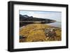 Glacial Scree, Foreshore, Trinity Hamn, Magdalenefjord, Svalbard-David Lomax-Framed Photographic Print