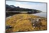 Glacial Scree, Foreshore, Trinity Hamn, Magdalenefjord, Svalbard-David Lomax-Mounted Photographic Print