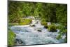 Glacial Stream, Milford Sound, New Zealand-Rona Schwarz-Mounted Photographic Print