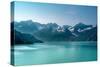 Glacial Water Wonderland-Steven Maxx-Stretched Canvas