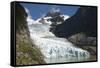 Glaciar Serrano (Serrano Glacier)-Tony-Framed Stretched Canvas