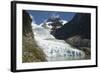 Glaciar Serrano (Serrano Glacier)-Tony-Framed Photographic Print