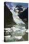 Glaciar Serrano (Serrano Glacier)-Tony-Stretched Canvas