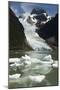 Glaciar Serrano (Serrano Glacier)-Tony-Mounted Photographic Print