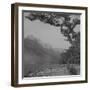 Glacier 1-Gordon Semmens-Framed Photographic Print