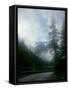 Glacier A-Gordon Semmens-Framed Stretched Canvas