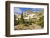 Glacier and A Mountain Lake in Rawah Wilderness, Colorado during Summer-Alexey Kamenskiy-Framed Photographic Print