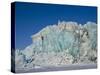 Glacier and Glacier Ice, Billefjord, Svalbard, Spitzbergen, Arctic, Norway, Scandinavia, Europe-Milse Thorsten-Stretched Canvas