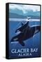 Glacier Bay, Alaska - Orca and Calf-Lantern Press-Framed Stretched Canvas