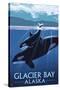 Glacier Bay, Alaska - Orca and Calf-Lantern Press-Stretched Canvas