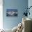 Glacier Bay, Alaska, USA-Tom Norring-Stretched Canvas displayed on a wall