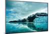 Glacier Bay in Mountains in Alaska, United States-mffoto-Mounted Photographic Print
