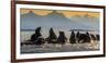 Glacier Bay National Park, Alaska-Art Wolfe Wolfe-Framed Photographic Print