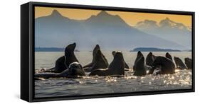 Glacier Bay National Park, Alaska-Art Wolfe Wolfe-Framed Stretched Canvas