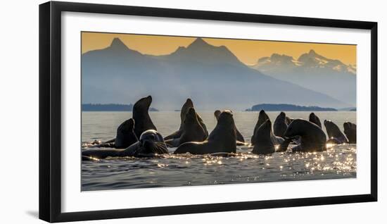 Glacier Bay National Park, Alaska-Art Wolfe Wolfe-Framed Photographic Print