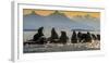 Glacier Bay National Park, Alaska-Art Wolfe Wolfe-Framed Photographic Print