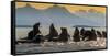 Glacier Bay National Park, Alaska-Art Wolfe Wolfe-Framed Stretched Canvas