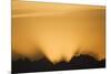 Glacier Bay National Park at Sunset-Paul Souders-Mounted Photographic Print