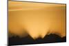 Glacier Bay National Park at Sunset-Paul Souders-Mounted Photographic Print