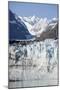 Glacier Bay National Park in Alaska-Paul Souders-Mounted Photographic Print