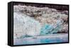 Glacier Bay National Park, viewed from Princess Star Cruise Ship, Alaska, USA, North America-Laura Grier-Framed Stretched Canvas