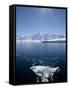 Glacier Bay, Port Lockroy, Antarctic Peninsula, Antarctica, Polar Regions-null-Framed Stretched Canvas
