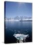 Glacier Bay, Port Lockroy, Antarctic Peninsula, Antarctica, Polar Regions-null-Stretched Canvas