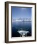 Glacier Bay, Port Lockroy, Antarctic Peninsula, Antarctica, Polar Regions-null-Framed Photographic Print