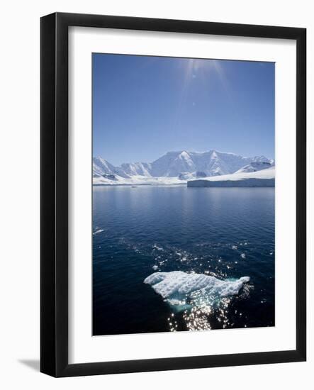Glacier Bay, Port Lockroy, Antarctic Peninsula, Antarctica, Polar Regions-null-Framed Photographic Print